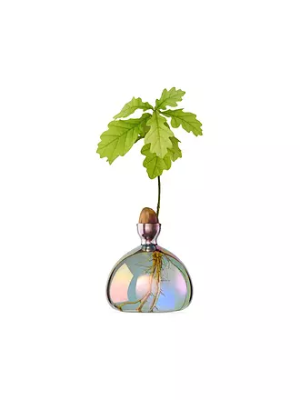 ILEX STUDIOS | Eichen Vase Cosmic | 